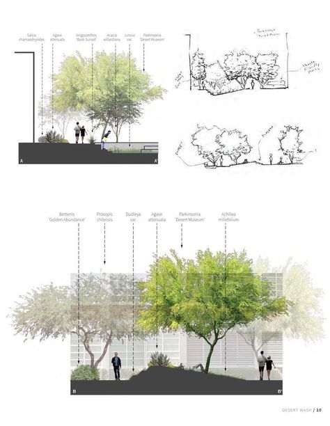 Portfolio D'architecture, Architects Portfolio, Landscape Architecture Portfolio, Landscape And Urbanism Architecture, Landscape Architecture Drawing, Easy Landscaping, Architecture Graphics, Landscape And Urbanism, Landscape Architecture Design