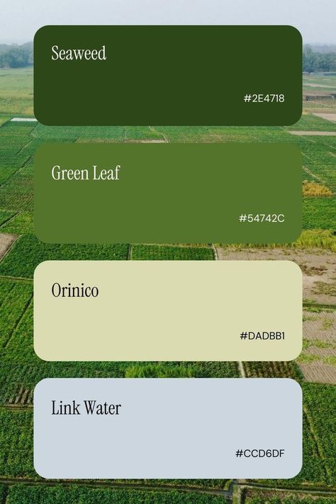 Color Palette Marketing, Green Colour Palettes, Color Palette For Brand, Color Palette Website, Identity Color Palette, Website Colors, Color Palette Brand, Color Palette Inspiration, Soft Green Color