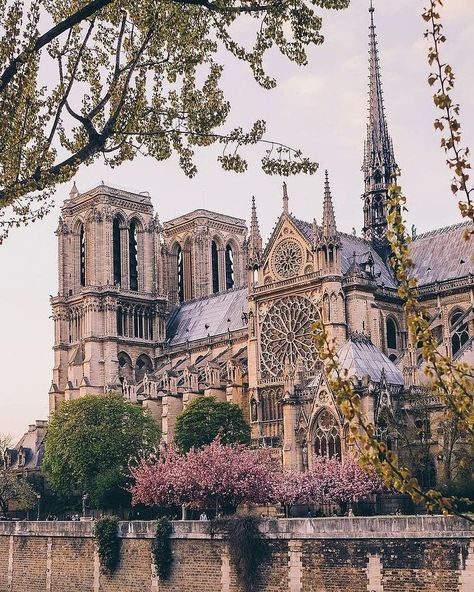 Farmhouse Homes 🏡 on Instagram: “The beautiful Notre Dame Cathedral. 🙏 Our thoughts and prayers go out to Paris and all of France today. 😞 (@wonguy974) . . • follow us…” Old Cathedral, Cathédrale Notre-dame, France Aesthetic, Voyage Europe, Paris City, Paris Travel, France Travel, Travel Aesthetic, 그림 그리기