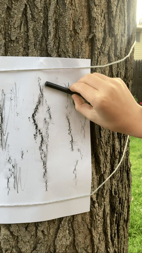 8 Creative Ways to Study Trees with Kids Ways To Study, Forest School Activities, About Trees, Tree Study, Nature School, Wonders Of Nature, Wacky Hair, Forest School, Nature Play