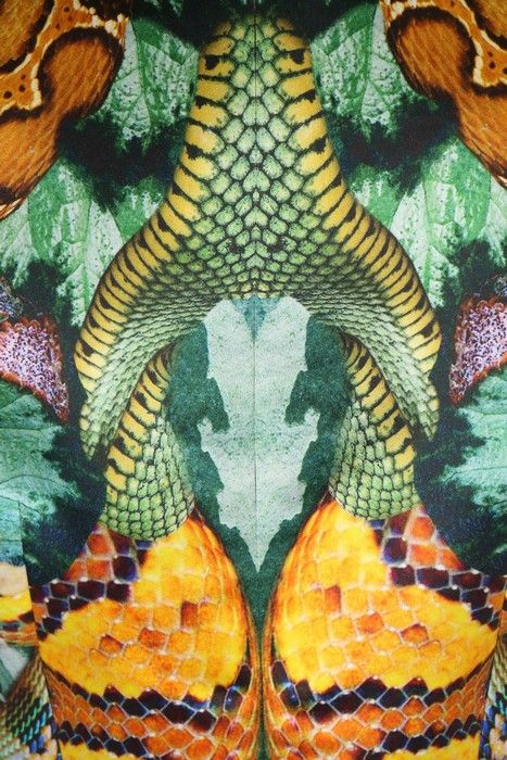 Lot 344 - An Alexander McQueen reptile-print organza dress, Alexander Mcqueen Print Pattern, Reptile Fashion, Textiles Sketchbook, Chameleons, Animal Print Fashion, Organza Dress, Best Background Images, Pretty Prints, The Passion