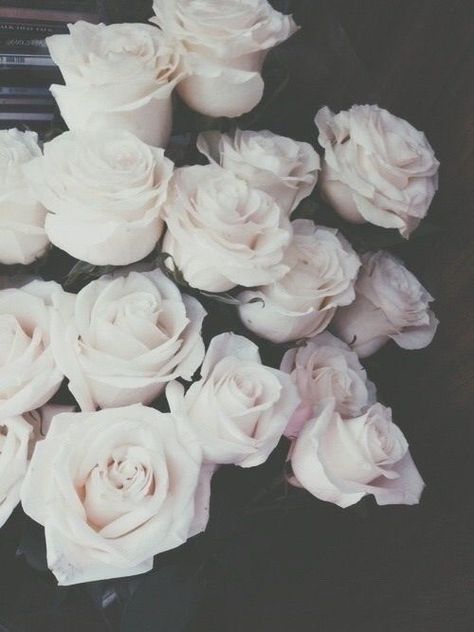 White Roses, We Heart It, Roses, Lost, White