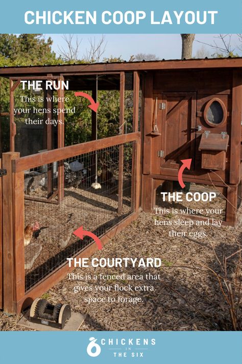 Chicken Coop For 5 Hens, Chicken Coop 6 Chickens, Diy Chicken Coop 6 Chickens, Mixed Flock Coop Ideas, Mixed Flock Coop, Chicken Brooder, Chicken Coop Plans For 8-10 Chickens, Duck Coop, Chicken Poop