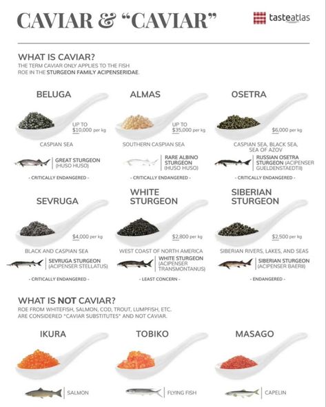 Taste Atlas, Fish Roe, Culinary Cooking, Food Knowledge, Food Infographic, Cooking 101, Food Info, Food List, Culinary Arts