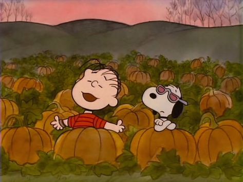 Snoopy Halloween Aesthetic, Snoopy Fall Aesthetic, Pumpkin Snoopy, The Great Pumpkin Charlie Brown, Fall Highlights, Halloween Watch, Great Pumpkin Charlie Brown, The Great Pumpkin, Snoopy Cartoon