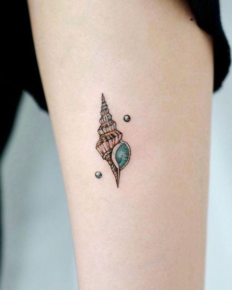 Ocean Tattoo Design, Tattoo Ideas Ocean, Ocean Tattoo Ideas, Ocean Theme Tattoos, Tattoo Ideas Minimalist, Seashell Tattoo, Beachy Tattoos, Skulls Tattoo, Seashell Tattoos