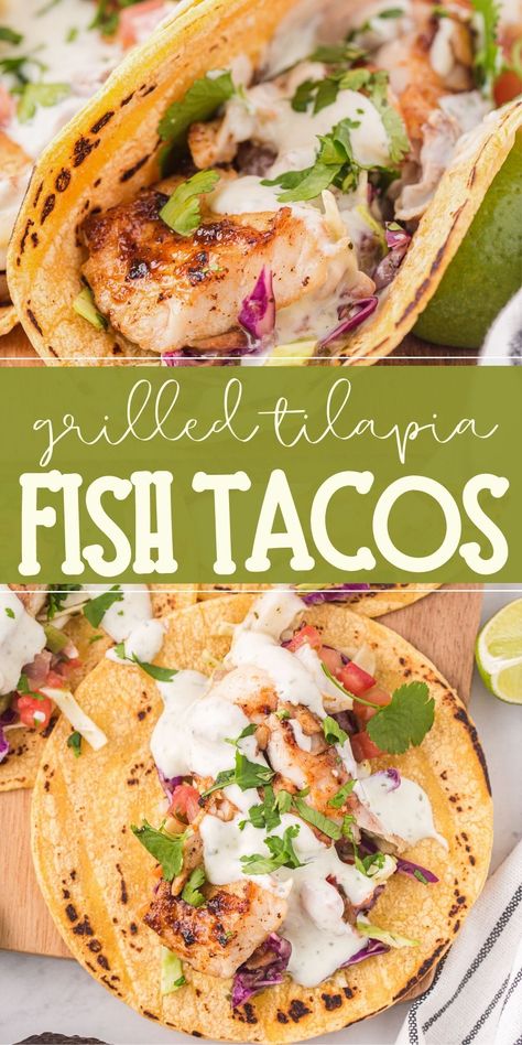 Fish Tacos Tilapia Baked, Grilled Tilapia Tacos, Fish Fajitas Recipes, Fish Taco Recipe Tilapia, Grilled Fish Taco Recipe, Tilapia Sandwich Recipes, Talipia Taco Recipes, Talipia Fish Taco Recipes, Talipia Tacos