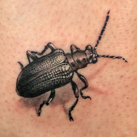 Micro-Realistic Insect Tattoo by DJ Tambe Realistic Insect Tattoo, Ink Master Tattoos, Beetle Tattoo, Christian Sleeve Tattoo, Lady Bug Tattoo, Bug Tattoo, Insect Tattoo, Skeleton Hand Tattoo, Traditional Tattoo Design