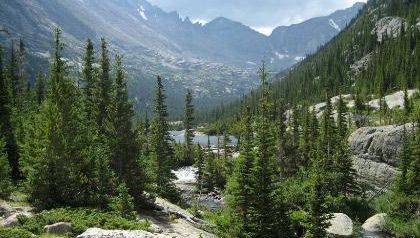 AARP info on RMNP Taiga Biome, Alpine Tundra, Colorado Hikes, Outdoorsy Girl, Rocky Mountain National Park Colorado, Lost Highway, Ponderosa Pine, Boreal Forest, Continental Divide