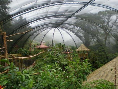 An aviary is a large enclosure for confining birds Unlike cages aviaries allow birds a larger living space where they can fly hence aviaries are also some Greenhouse Cafe, Large Bird Cages, Bird House Kits, Bird Aviary, Bird Care, How To Attract Birds, Costa Rica Travel, Animal Sanctuary, Bird Cages