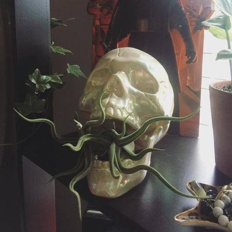 Dorm Things, Ceramic Skull, Whats Wallpaper, Goth Garden, Earthy Bedroom, Gothic Garden, Dark Home Decor, Ceramic Texture, Cerámica Ideas