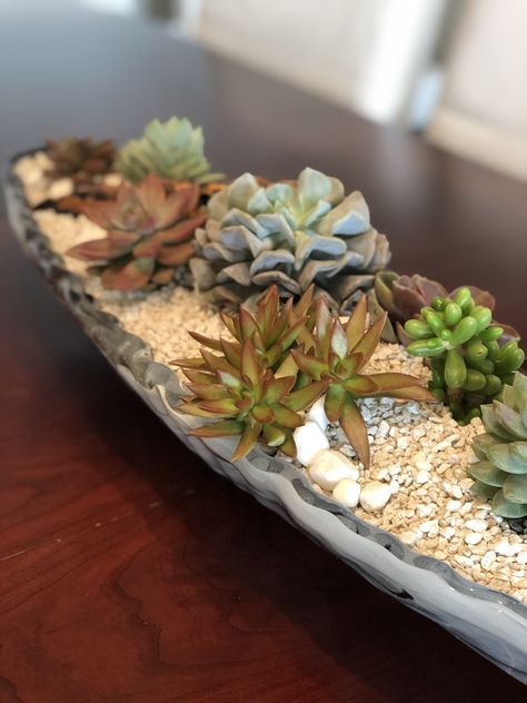 White sand and rocks on my new Long oval succulent table arrangement ! Succulent Table, Succulent Centerpieces, Table Arrangement, Garden Trees, Table Arrangements, White Sand, Succulent, Trees, Vase