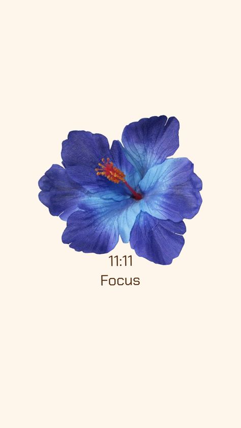 Blue Hibiscus Wallpaper, Everyday Wallpaper, Wallpaper Beach Aesthetic, Hibiscus Wallpaper, Aesthetic Affirmations, Affirmation Wallpaper, Wallpaper Beach, Blue Hibiscus, Quotes Wallpapers