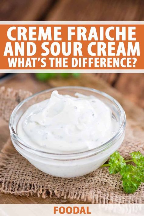 Crème fraîche and sour cream are dairy ingredients used in the preparation of hot and cold dishes, but they are not identical. Read on to learn how they differ, what they have in common, and if they are interchangeable. Join us as we discuss crème fraîche and sour cream now on Foodal. #cremefraiche #sourcream #foodal Substitute Sour Cream, French Creme, Creme Fraiche Recipes, Cheese Recipes Homemade, Make Sour Cream, Sour Cream Recipes, Cold Dishes, Cheese Recipes, Cooking Tips