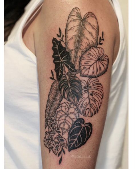 Tatuagem botanica folhagens folhas botanicalAlocasia cupreaAlocasia sarianPhilodendronso melanochrysumgloriousumAnthuriums crystalinumveitchiclarinerviumMonstera deliciosaadansonii Alocasia Leaf Tattoo, Anthurium Tattoo Design, Black And Grey Plant Tattoo, Alocasia Plant Tattoo, Monstera Tattoo Traditional, Plant Tattoo Thigh, Adansonii Tattoo, Houseplant Tattoo Sleeve, Monstera Adansonii Tattoo