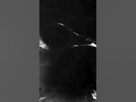 ink splash template free download//black screen template//#like #tutorial Lyrics Effect Video, Ink Effect Video, Black And White Effect Video, White Screen Template Video, Ink Overlay Video, White Template Video, Black Video Effect, Video Effects Png Backgrounds Download, Ink Splash Overlay Video For Edit