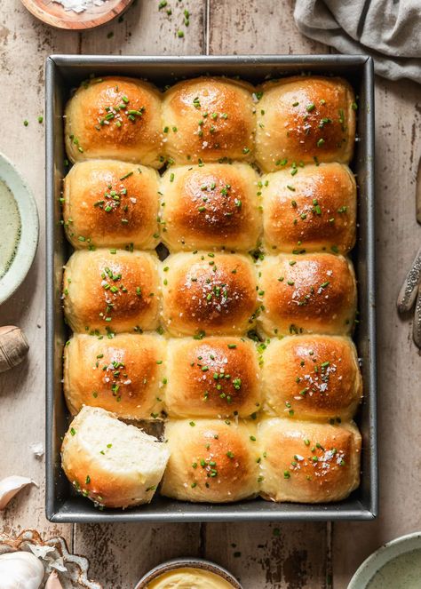 Garlic Butter Dinner Rolls, Butter Dinner Rolls, Thanksgiving Dinner Rolls, Side Dishes For Thanksgiving, Dishes For Thanksgiving, Garlic Butter For Bread, Cheesy Rolls, Thanksgiving Rolls, No Yeast Dinner Rolls