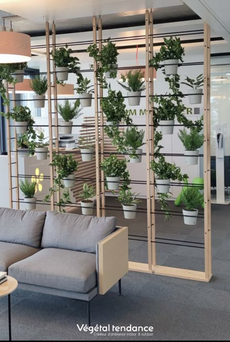 Company Office Decor Ideas, Room Divider Plants, Plant Room Divider, Plant Divider, Communal Office Space, Store Shelves Design, Office Wall Design, Corporate Interior Design, Corporate Office Decor