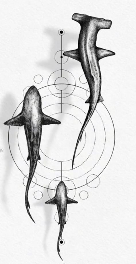 Shark Tattoo Design, Hai Tattoo, Underwater Tattoo, Hammerhead Shark Tattoo, Lion Art Tattoo, Orca Tattoo, Animal Tattoo Ideas, Shark Drawing, Sea Tattoo