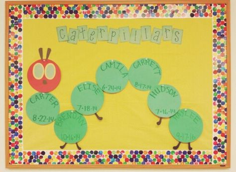 Preschool classroom, bulletin board, birthday board, the very hungry caterpillar. Preschool Classroom Birthday Board, Birthday Wall Daycare, Birthday Bulletin Boards Preschool Free Printable, Birthday Boards For Toddlers Classroom, Infant Birthday Board Ideas, Animal Birthday Board Classroom, Infant Room Daycare Birthday Board, The Very Hungry Caterpillar Classroom Door, Daycare Birthday Boards