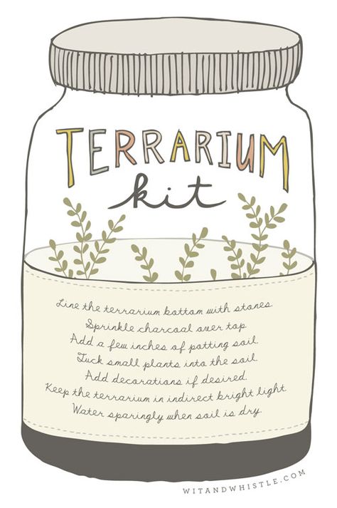 DIY Gift: Terrarium Kit | Wit & Whistle Diy Terrarium Kit, Terrarium Kit, Terrariums Kits, Terrarium Diy, Crafty Craft, Homemade Gifts, Creative Gifts, Diy Kits, Craft Gifts