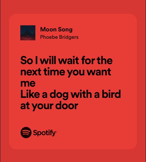 Pheobe Bridgers Aesthetic, Moon Song Phoebe Bridgers, Moon Song, Phoebe Bridgers, Cool Lyrics, Hozier, Just Lyrics, Music Concert, Pretty Lyrics