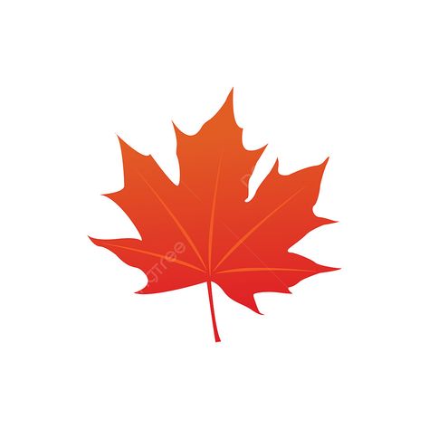 Maple Leaf Vector, Maple Leaf Clipart, Country Silhouette, Canadian Leaf, Maple Leaf Logo, Icons Template, Vector Leaf, Background Tree, Leaf Vector