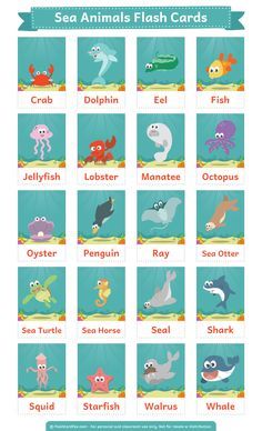 Animali marini Ocean Animal Flashcards, Ocean Animals Flashcards, Sea Animals Printables Free, Ocean Animal Printables Free, Sea Animals Flashcards Free Printable, Flash Cards Ideas, Animal Cards For Kids, Sea Animals Flashcards, Flashcards Ideas