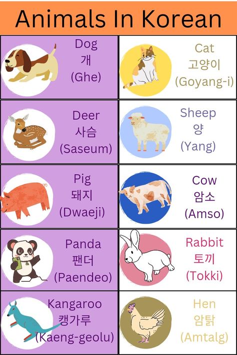 How to say dog, hen and other animals name in Korean #Korea #Korean Animals In Korean Language, Korean Words Learning Basic, Learn Korean Aesthetic, Name In Korean Language, Animals In Korean, Korean Language Learning For Beginners, Korean Worksheets, Korean For Beginners, Korean Greetings