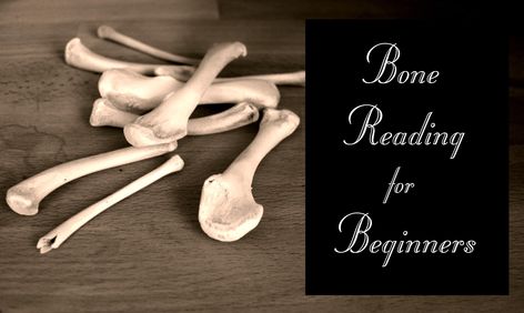 The Ancient Art of Bone Reading for Beginners - Moody Moons Bone Divination, Reading Bones, Witchcraft Resources, Witchcraft Notes, Throwing Bones, Samhain Ideas, Spiritual Nutrition, Bone Throwing, Bone Reading