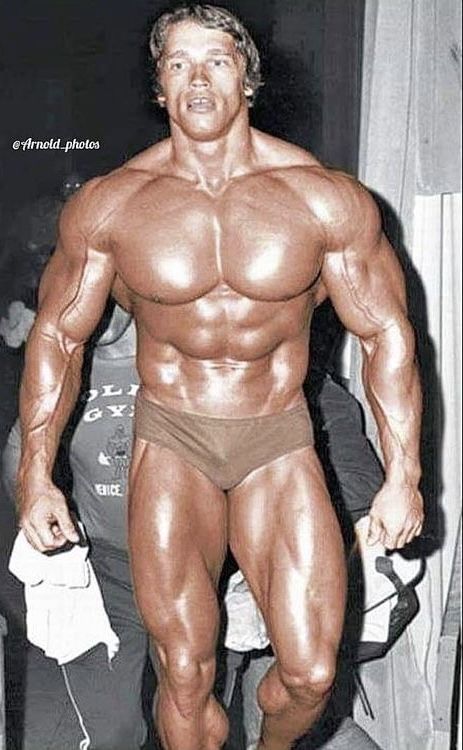 Arnold Schwarzenegger 1974, Arnold Swarzenegger, Arnold Body, Arnold Schwarzenegger Body, Arnold Schwarzenegger Muscle, Arnold Bodybuilding, Arnold Photos, Gym Icon, Old Bodybuilder