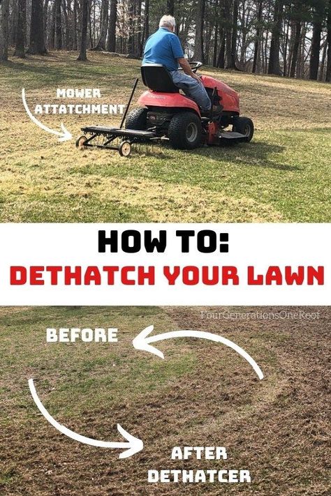 My dad's lawn dethatching tips and tricks that anyone can do! Fix your lawn in just an hour or two with a lawn dethatcher that pulls behind your mower. Don't miss my favorite cheap dethatchers. #lawndethatcher #lawndethatching #lawndethatcherdiy #lawndethatcherproducts #lawndethatchingdiy #diyyardideas #bestlawncaretips Dethatching Lawn, Front Door Patio, Ideas Backyard Patio, Patio Ideas Backyard, Backyard Patio Furniture, Best Lawn Mower, Flower Bed Edging, Backyard Patio Ideas, Design Backyard