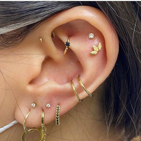 Sacred Gold’s Instagram photo: “We are in AWE of this fully healed full curation by our amazing piercer Gemma @gemstonepiercing 😍😍😍💛 All @bvla @bvlalove beauties, styled…” Full Ear Piercings, Ear Art, Pretty Ear Piercings, Cool Ear Piercings, Gold Tattoo, Cute Ear Piercings, Ear Style, Piercings Unique, Cute Piercings