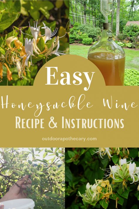 Wine Making Recipes, Mead Recipe, Aphrodisiac Foods, Wine Yeast, Brewing Recipes, Wine Recipe, Fermentation Recipes, Dry Wine, Vodka Recipes