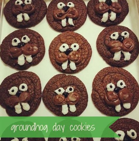 groundhog cookies for groundhog day - i crashed the web Groundhog Cookies, 4k Activities, Edible Kids Crafts, Cute Groundhog, Ground Hogs, Beach Ball Cake, Cookie Monster Cupcakes, Ground Hog, Pin The Tail