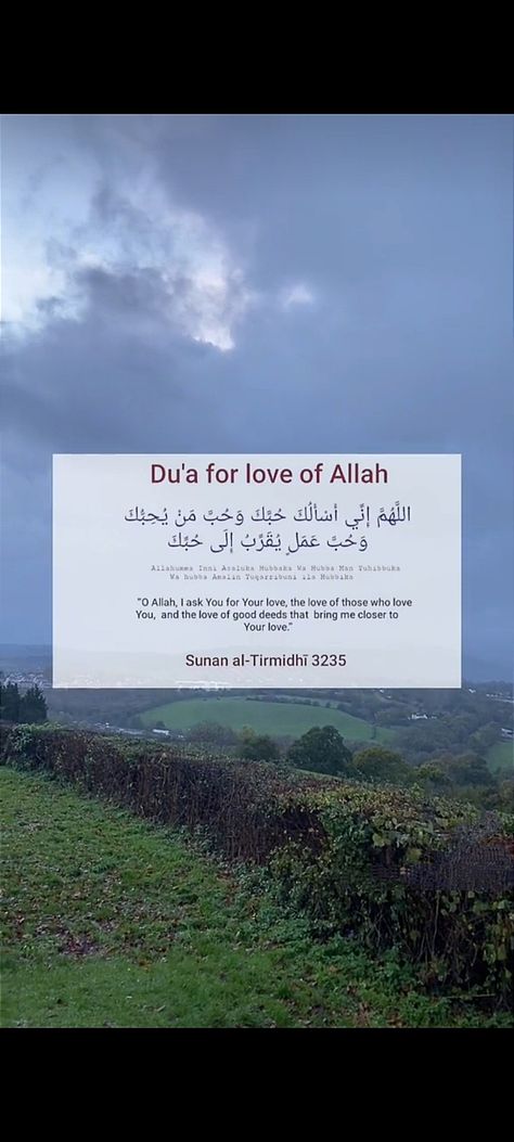 Dua For Love, Islamic Quotes Wallpaper, Good Deeds, Wallpaper Quotes, Islamic Quotes, Quran, Love You, Quotes, Quick Saves