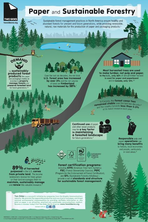 Rainforest Ecosystem, Infographic Inspiration, Sustainable Community, Environmental Education, Sustainable Forestry, Environmentally Conscious, Earth Science, Self Publishing, Earth Friendly