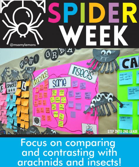 Spider Activities for the Classroom - Amy Lemons Spider Types, Social Development Activities, Spider Math Activities, Spider Unit Study, Fiction Vs Nonfiction, Spider Unit, Spider Fact, The Very Busy Spider, Spider Activities