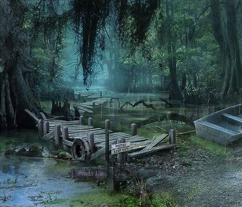 Louisiana Bayou Louisiana Aesthetic, Mystery Case Files, Mystery Aesthetic, Fish Games, Hidden Object Game, Big Fish Games, Louisiana Swamp, Skull Rock, Louisiana Bayou