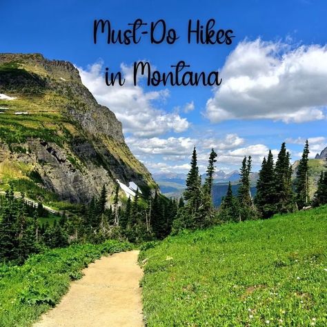 The Best Montana Hikes for Every Level Paradise Valley Montana, Ennis Montana, Glacier National Park Hikes, Hamilton Montana, Montana Hiking, Billings Montana, Hiking Dogs, Beautiful Hikes, Park Trails