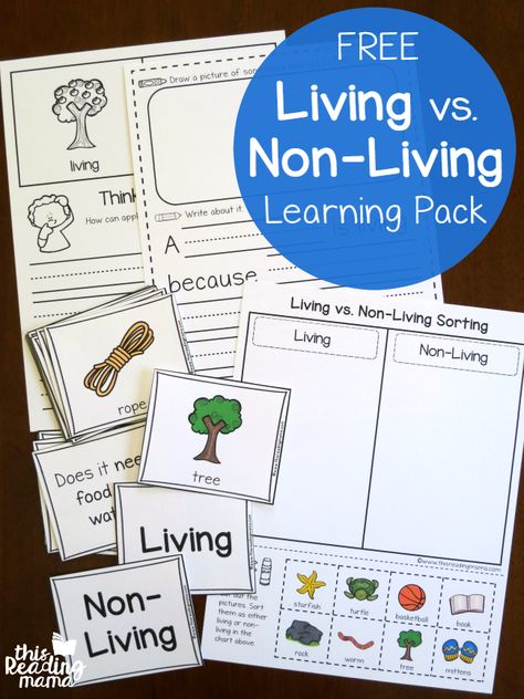 FREE Living vs Non-Living Learning Pack - This Reading Mama Plant Unit Kindergarten, Plants Kindergarten, Living And Nonliving, Kindergarten Units, Plants Unit, 1st Grade Science, First Grade Science, Primary Science, Kindergarten Science