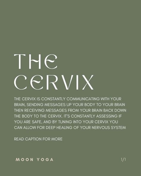 Tight Pelvic Floor, Rest And Digest, The Vagus Nerve, Womb Healing, Deep Healing, Brain Stem, Divine Feminine Spirituality, Feminine Health, Menstrual Health