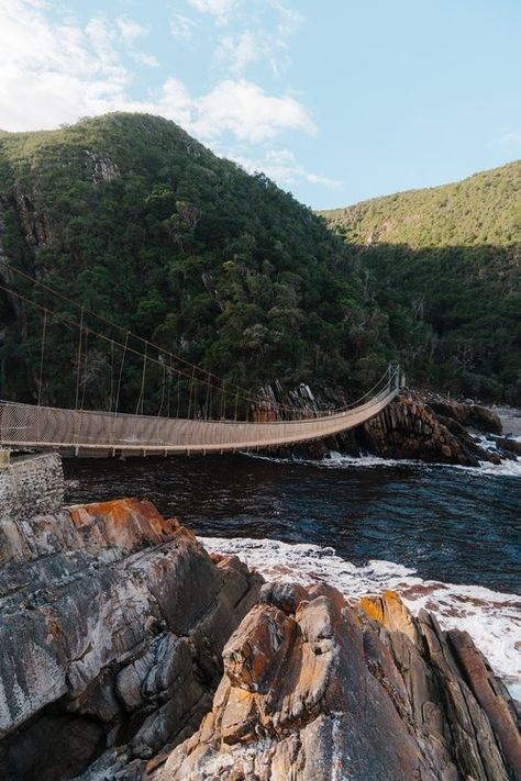 Kayaking Adventure at Storms River Mouth in Tsitsikamma National Park — Karlie Place Tsitsikamma National Park, Types Of Sharks, River Mouth, Tandem Kayaking, Katmai National Park, Vision Board Images, Kayak Adventures, Kayak Tours, South Africa Travel