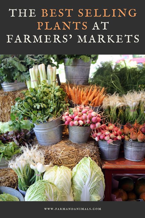 Farm Market Ideas, Selling Plants, Farmers Market Stand, Farmers Market Booth, Farmers Market Display, Farmers Market Recipes, Farm Business, Farm Store, Stand Ideas