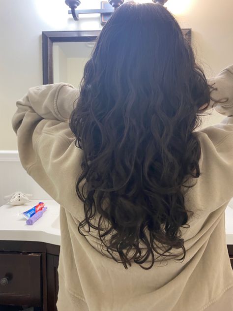 Long Wavy Brown Hair Aesthetic, Loose Curl Haircut, Unstyled Wavy Hair, Medium Layered Haircuts Wavy Hair, Layered Hair From The Back, Beach Waves Haircut, Long Layers Wavy Hair Natural Curls, Natural Beach Waves Hair, 2a Haircut