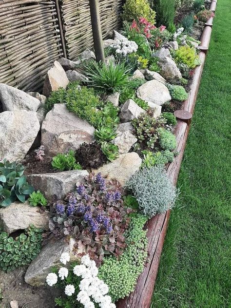 Creative Gardening | Rock Garden 🪨🌿 | Facebook Dry Rock Garden, Rockeries Garden Ideas, Rock Garden Succulents Landscape Design, Alpine Garden Ideas, Aesthetic Backyard Ideas, Driveway Flowers, Garden Ideas Cottage, Aesthetic Backyard, Succulent Rock Garden