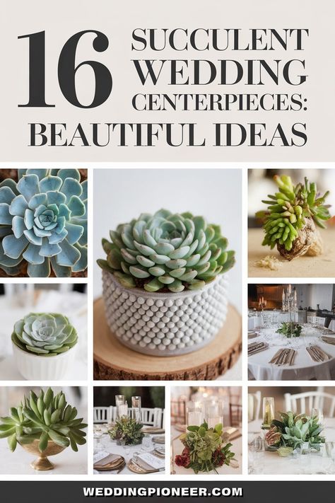 16 Succulent Wedding Centerpieces for a Surprising Wow Factor Succulent Party Theme, Succulent Centerpiece Wedding, Potted Plant Centerpieces, Succulent Table Decor, Cactus Centerpiece, Succulent Party, Succulent Wedding Centerpieces, Plant Centerpieces, Succulent Centerpiece