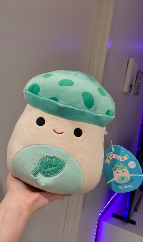 Squshmellow Collection Aesthetic, Squish Mallows Aesthetic, Cute Squishmallows Aesthetic, Rare Squishmallows Aesthetic, Squishmallows Mushroom, Squishmallow Mushroom, Aesthetic Squishmallows, Squishmallow Aesthetic, Squishmallows Aesthetic