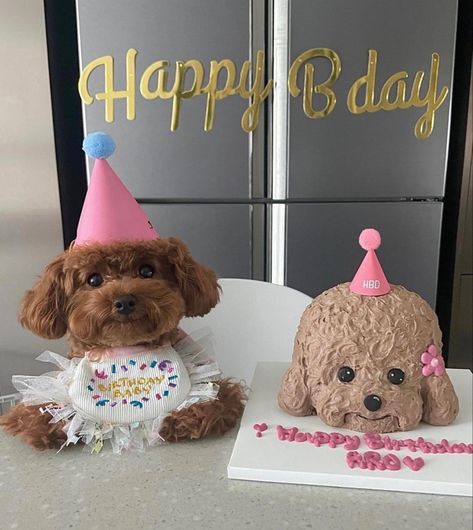 Cute Small Dogs, Dog Mommy, Cute Dogs Images, Animals Care, Cute Small Animals, Very Cute Dogs, Dog Birthday Party, Happy B Day, Dog Birthday