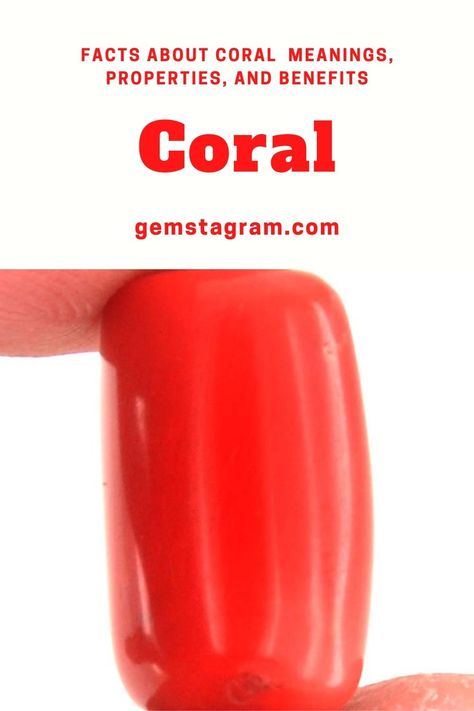 Coral is an amazing stone that signifies prosperity, joy, abundance, and protection. #Coral #gemstonelover #healinggemstones #exceptionalgemstones #gemstonehealing Coral Meaning Stones, Unique Red Coral Jewelry With Natural Stones, Crystal Facts, Spiritual Red Coral Gemstone Beads, Red Coral Stone, Coral Crystal, Jewelry Knowledge, Magic Stones, Coral Gemstone